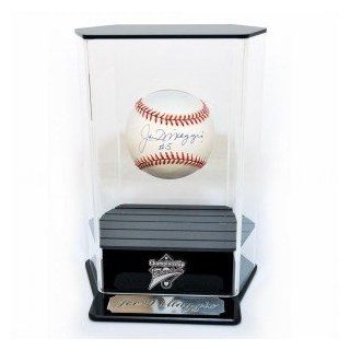 Caseworks Floating Baseball Display Case  Sports Related Display Cases  Sports & Outdoors