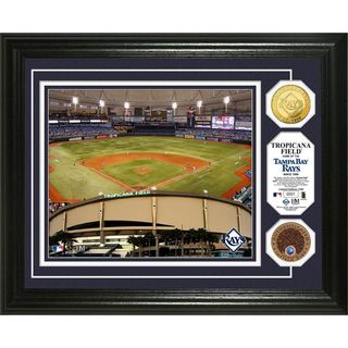 Tropicana Field Game Tampa Bay Rays Used Dirt Coin Photo Mint Highland Mint Coins
