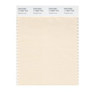 PANTONE SMART 11 0907X Color Swatch Card, Pearled Ivory   House Paint  
