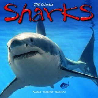 Sharks 2014 Wall Calendar 