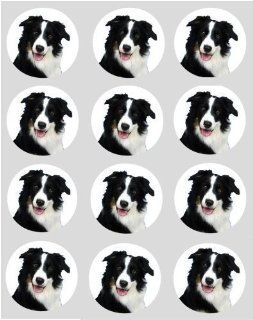12 Hunde Collie Reispapier Muffin / Cup Cake Kucken Dekoration 40mm Vorgeschnitten Küche & Haushalt