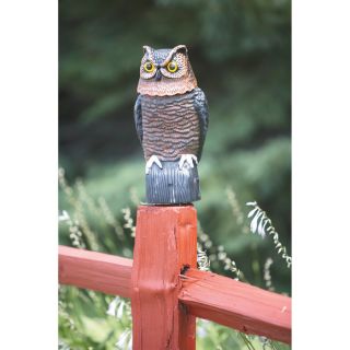 Easy Gardner Garden Defense Electronic Owl, Model# 8021  Bird Repellers
