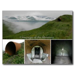 WWII Underground Bunker at Fort Swatzka Postcard