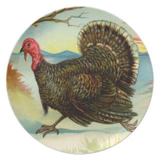 Thanksgiving Turkey Run Plate