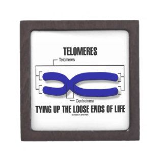 Telomeres Tying Up The Loose Ends Of Life Premium Jewelry Boxes