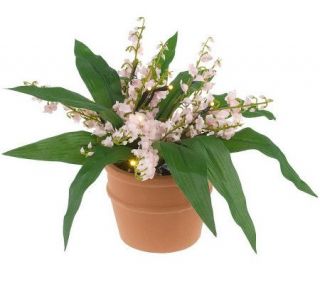 BethlehemLights BatteryOperated 8 Potted LilyoftheValley with Timer —