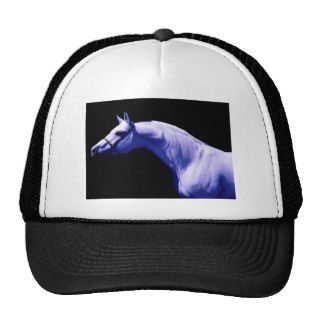 Horse Hats