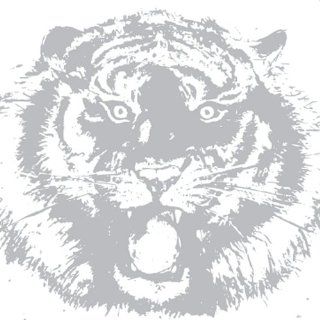 Tiger Side Up Music