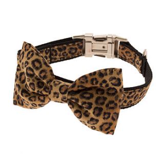 leopard bow tie dog collar by mrs bow tie
