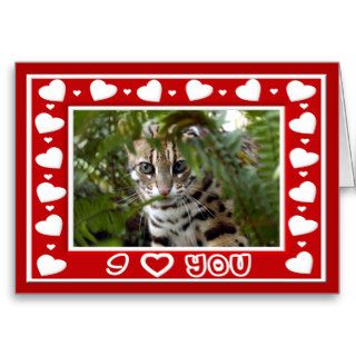 Bengal Cat Valentine Greeting Card & Note Card