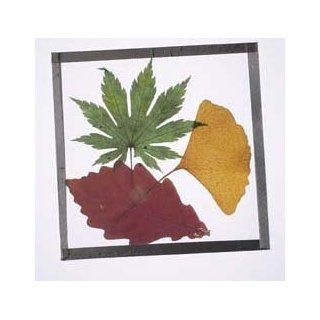 Pressed Leaf Coaster Craft Kit (makes 25 projects) Toys & Games