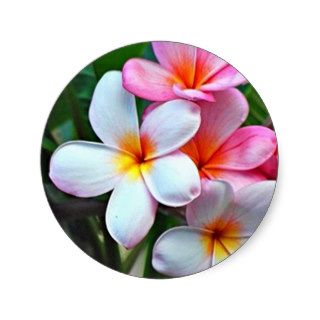 Hawaiian Flowers Sticker
