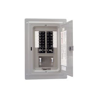Reliance Pre-Wired Transfer Panel — 15,000 Watt, 12 Circuit, Model# TRC1006CP9  Generator Transfer Switches