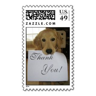 Doggy Thank You Postage Stamps