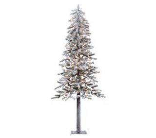 7 Prelit Flocked Alpine Tree with Clear Lightsby Vickerman —