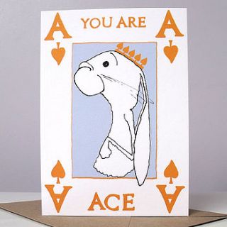 you are ace card by cardinky