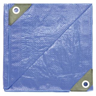 Dize Blue Poly Tarp — 24ft. x 36ft., Model# PT2436  Blue   Green Tarps