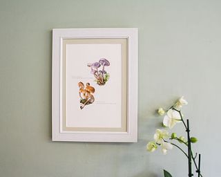 framed vintage print 'mushrooms' by bonnie and bell