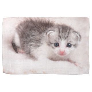 Cute newborn kitten kitchen towels