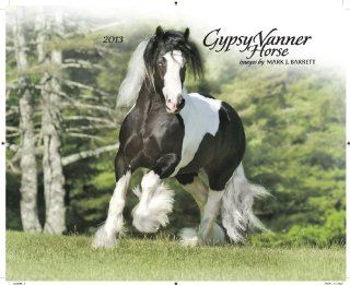 Gypsy Vanner Horse 2013 Calendar Mark J. Barrett Fremdsprachige Bücher