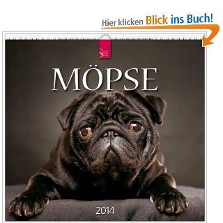 Mpse 2014 Original Strtz Kalender   Mittelformat Kalender 33 x 31 cm Spiralbindung Tierfotoagentur Bücher