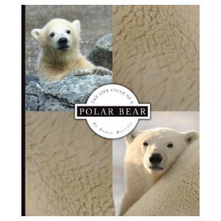The Life Cycle of a Polar Bear Robin Merritt 9781609731908 Books