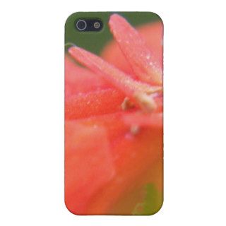 Flower mf 214 case for iPhone 5