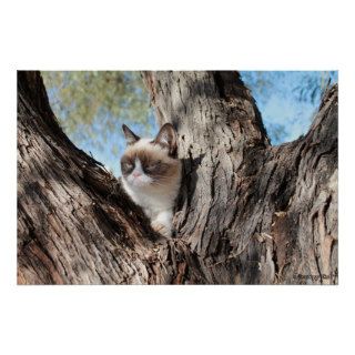 Grumpy Cat™ In a Tree Poster