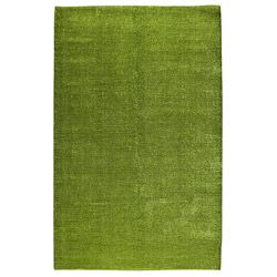 Hand woven Cher Green Area Rug (5 X 8)