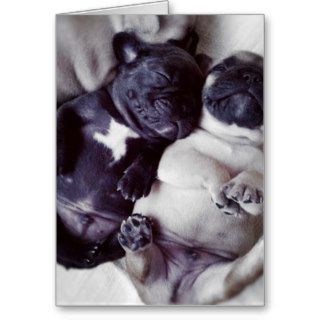 Happy Sleeping Pugs Card