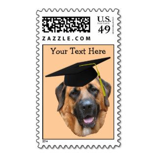 Mastiff In Graduation Cap Funny Dog Postage Stamp