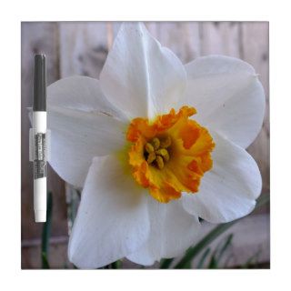 Orange N White Daffodil Dry Erase Board