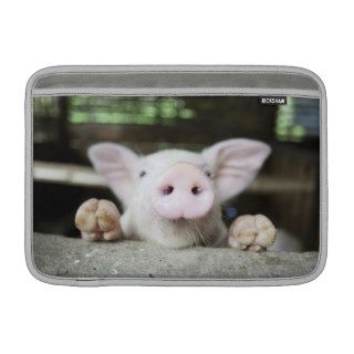 Baby Pig in Pen, Piglet Sleeves For MacBook Air