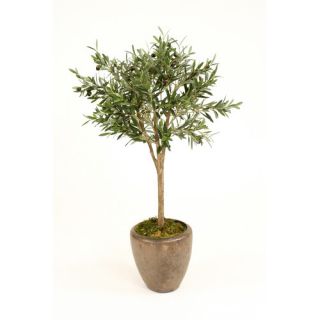 Distinctive Designs Silk Olive Topiary Tree in Planter