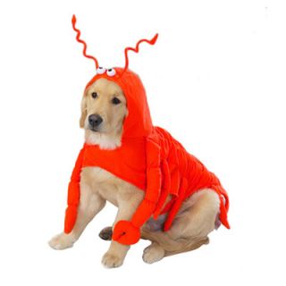 Casual Canine Lobster Paws Dog Costume