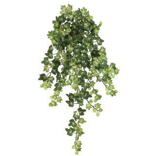 22.5" Lace Ivy Silk Hanging Plant  303 Leaves  Green/Yellow (case of 12)   Artificial Plants