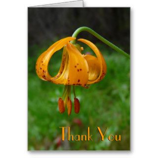 Wild Orange Tiger Lily Flower Card