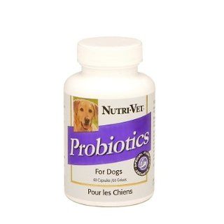 Brand New NUTRI VET   PROBIOTICS FOR DOGS (60 CT) "DOG PRODUCTS   DOG HEALTH   MEDICATIONS"