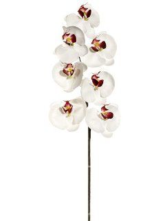 36" Large Phalaenopsis Orchid Spray w/7 Flw. Burgundy Cream (Pack of 6)  Artificial Flowers  Patio, Lawn & Garden