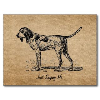 Burlap Vintage Hello Bird Dog Hunting Post Card