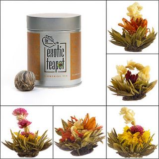 flowering white tea sampler five blooms by the exotic teapot