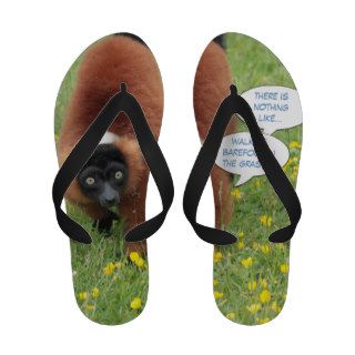 funny lemur flip flops