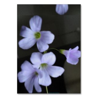 Purple shamrock blossom business card