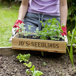 personalised seed tray by plantabox