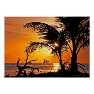 Gorgeous Key West Sunset Palm Trees Sailboat Print