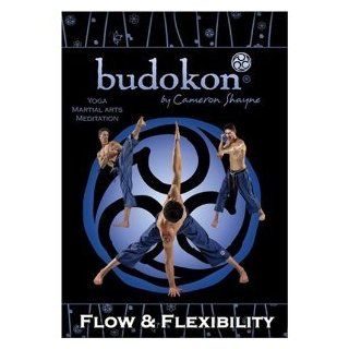 Cameron Shayne's Flow & Flexibility (martial arts/yoga fusion DVD)  Exercise And Fitness Video Recordings  Sports & Outdoors