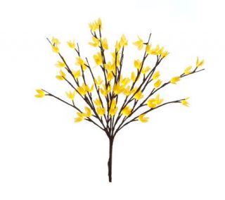 Linda Dano Forsythia Light Faux Floral Branches with Battery Timer —