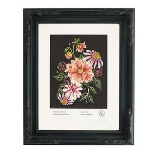 signed delightful dahlia one art print by charlotte day