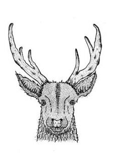 stags head artist illustrated print by brambleberries