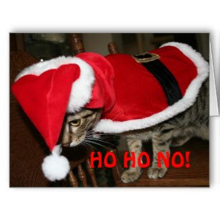 Silly Santa Cat Card